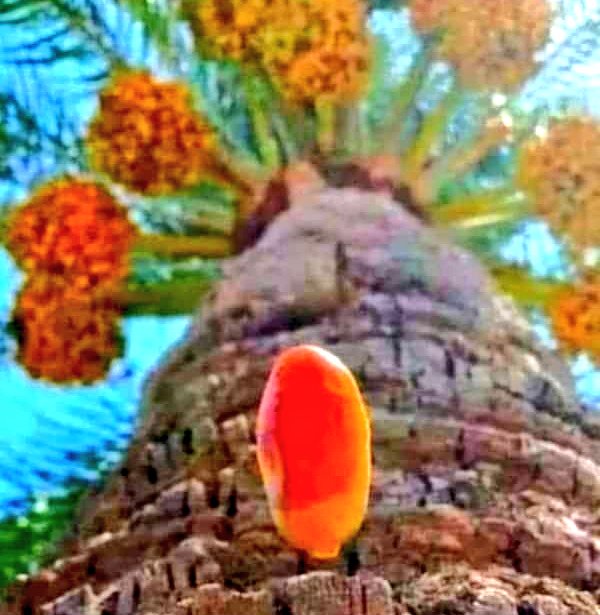 عـلاء مبارك-Alaa Mubarrak (praody) (@alaapraody) on Twitter photo 