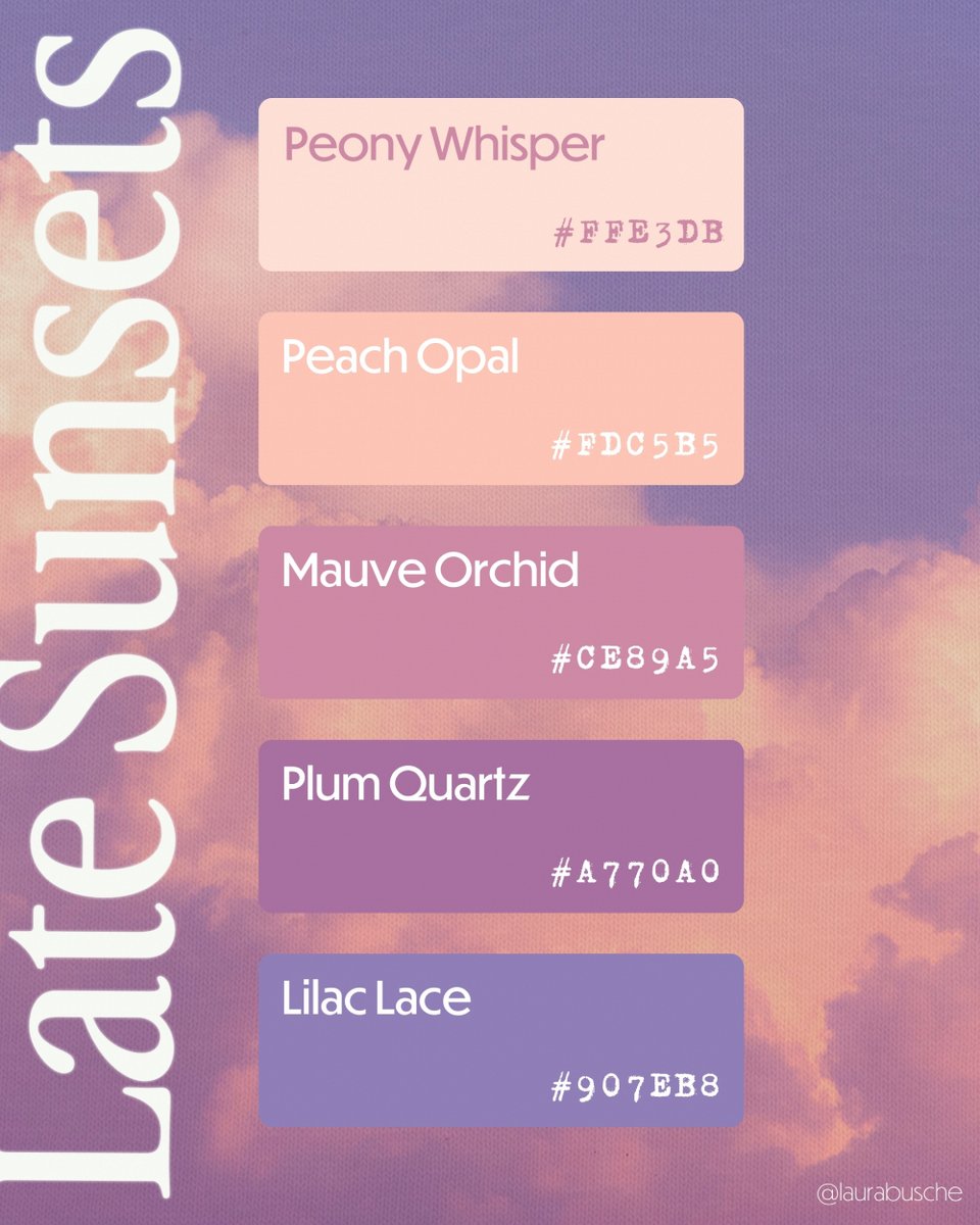 Laura Busche, PhD tweet media