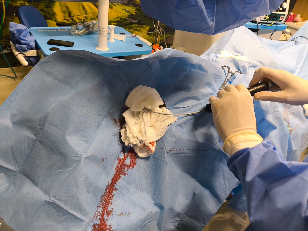 Fabricio Vassallo, MD, PhD tweet media