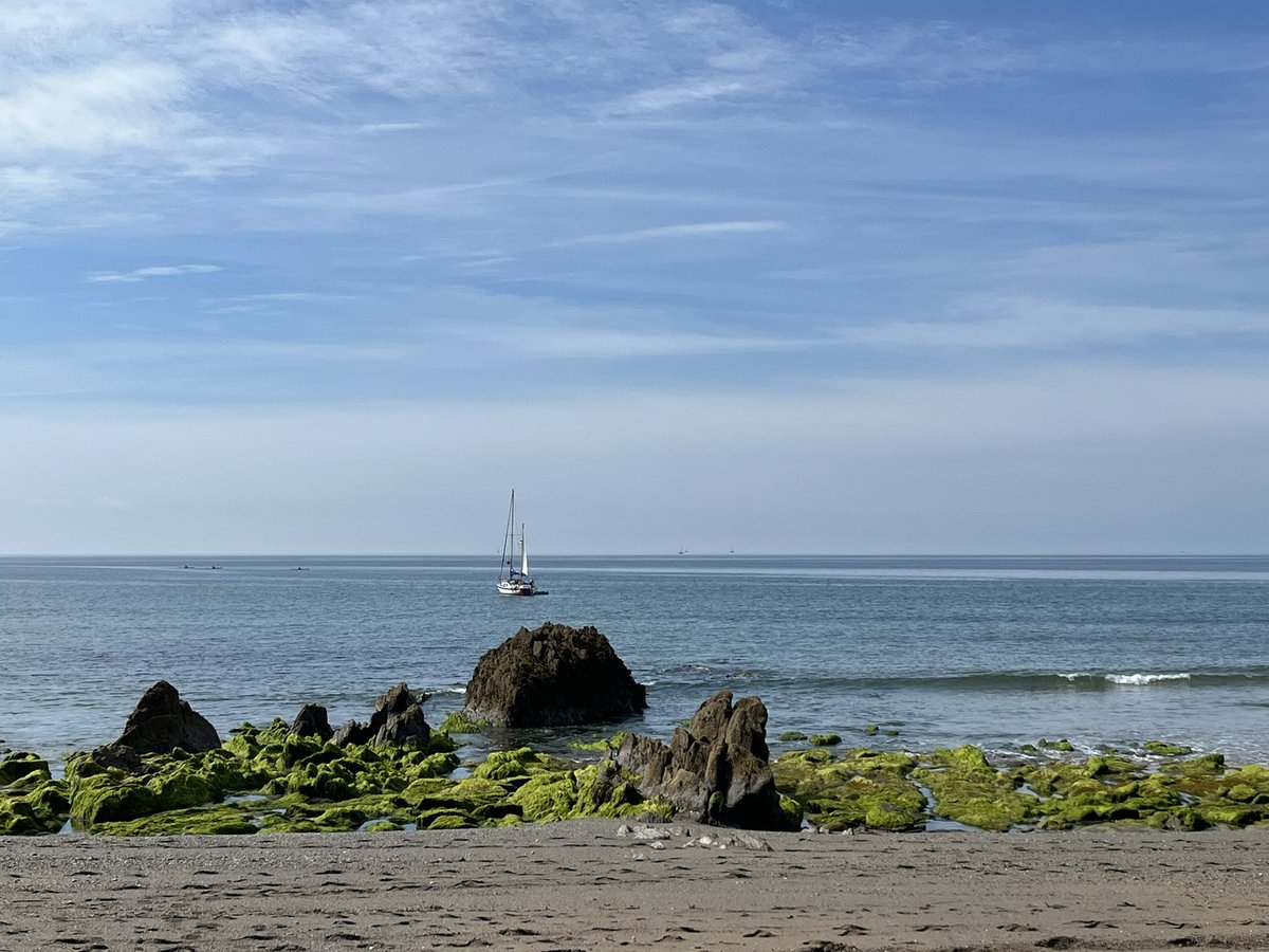 Evocative Cornwall tweet media