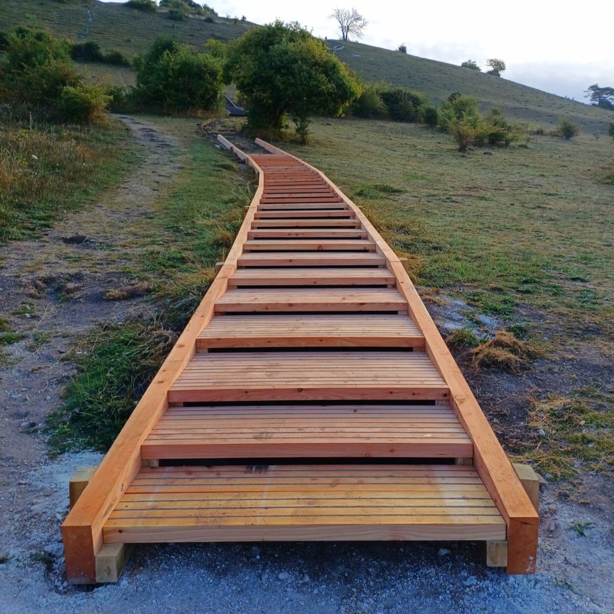 💪 5 days into work at St Catherine's Hill and some great progress has been made

We are making the route safer and easier to use, whilst also working to protect the hill's precious habitat

We will share progress updates along the way with work expected to finish in November