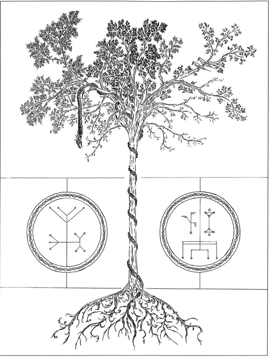 𖡼.𖤣𖥧𖡼.𖤣𖥧 (@forestoahu) on Twitter photo 