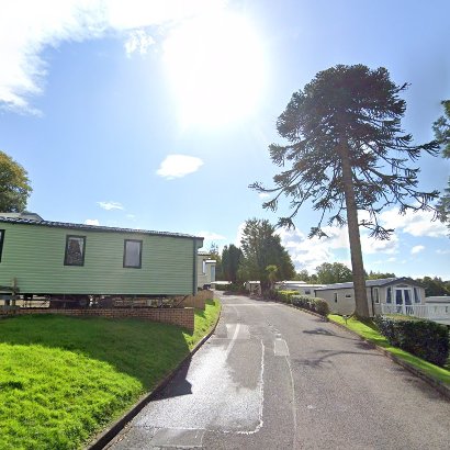 Steven Stratherrick (@stevenw24515280) on Twitter photo Stately and elegant monkey puzzle tree at Wemyss Bay caravan site above the pier.  A second monkey puzzle grew beyond this one, but was lost in the 2010's.  (Pic September 2024.) #WemyssBay  google.com/maps/@55.87687โฆ Stately and elegant monkey puzzle tree at Wemyss Bay caravan site above the pier.  A second monkey puzzle grew beyond this one, but was lost in the 2010's.  (Pic September 2024.) #WemyssBay  google.com/maps/@55.87687โฆ