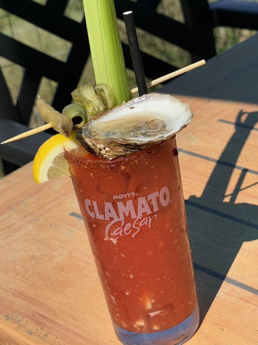 Baie de Malpèque 🦪

Île-du-Prince-Édouard