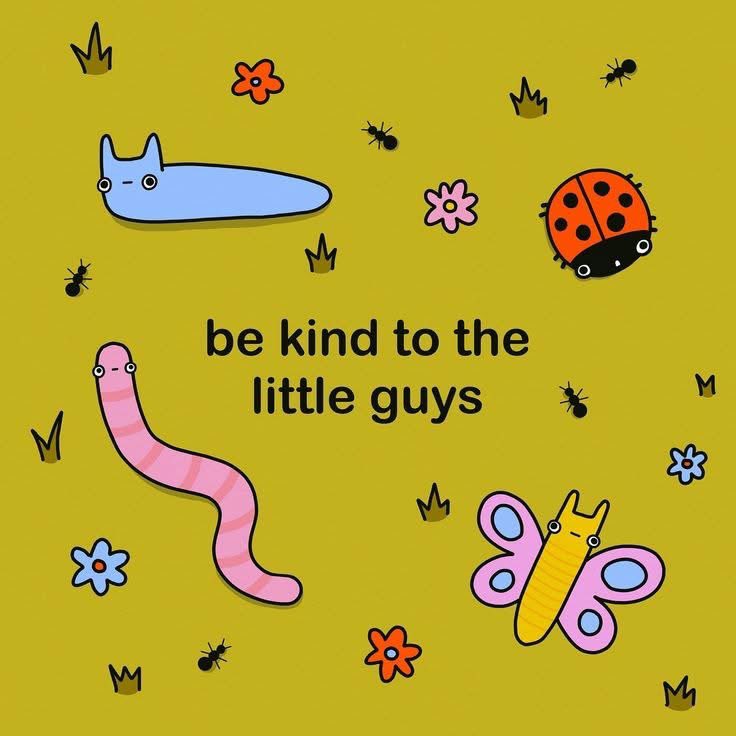 Katie (@aladynamedkatie) on Twitter photo 