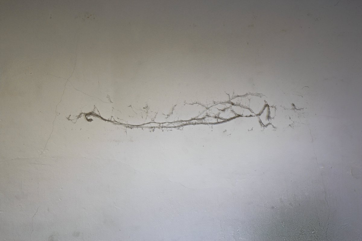 DrDFoster's tweet image. dust signature