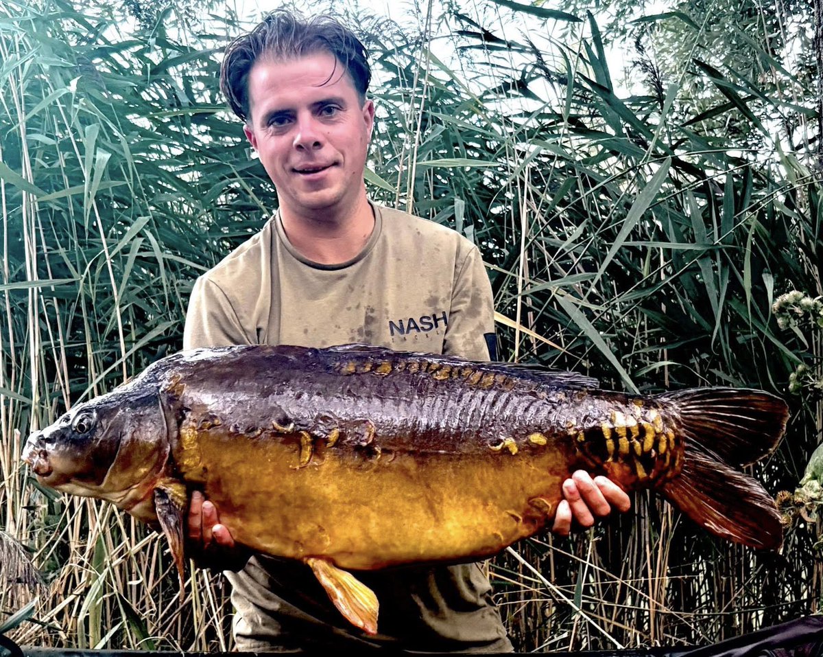 Bayeswater fisheries tweet media