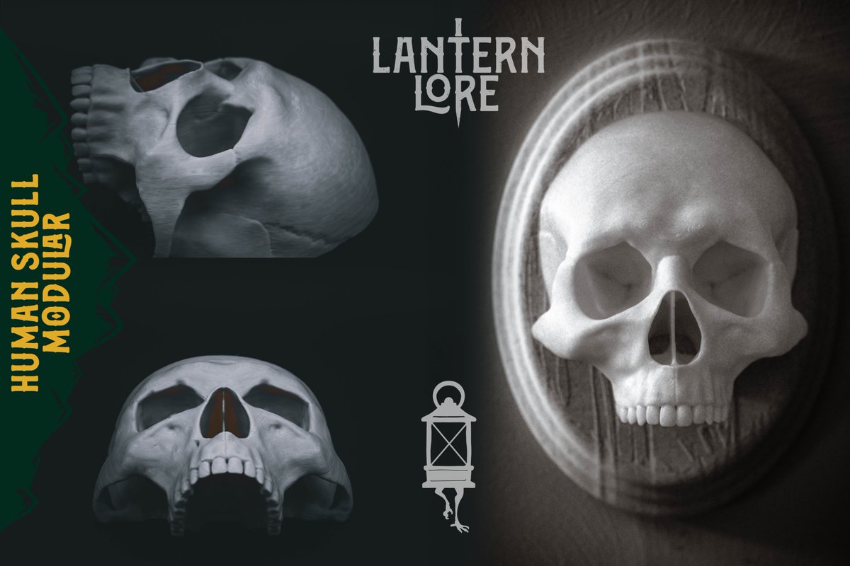 The Human Skull Modular is here to hang out.
Literally.

This print clicks into our faux wood wall plaque like a skeletal trophy from a slightly weirder life.

Creepy. Clean. Customizable.
Wall Hook by <a href="/Littletup3D/">Littletup</a> 
STL tinyurl.com/ynnfejar

#3Dprinting #darkdecor #skullart