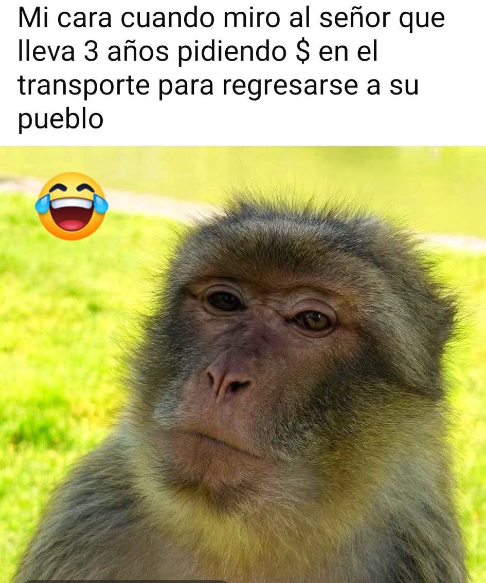 Brujo_Belico's tweet photo. Ya weeey!! 🤣💦 https://t.co/6Hq00LRdro