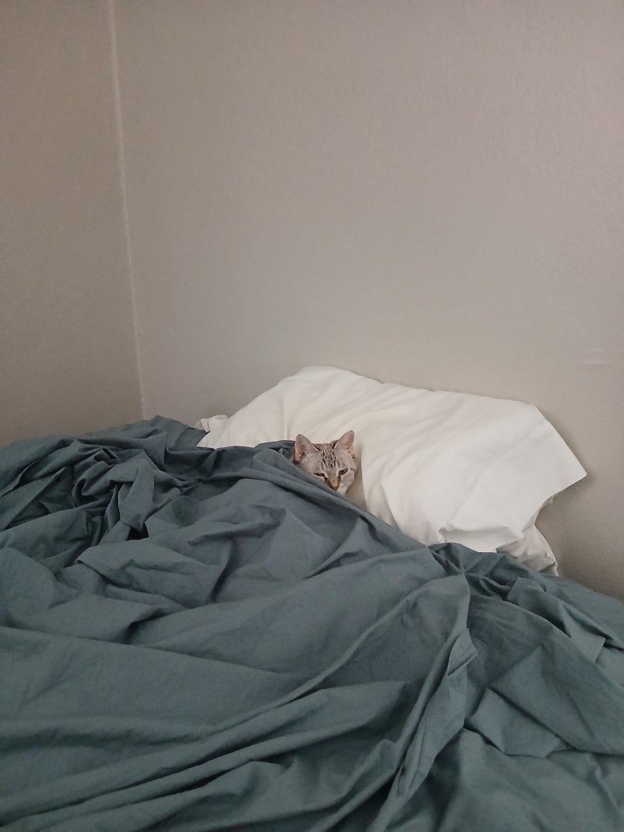 union (grief era) (@yumtapwater) on Twitter photo 