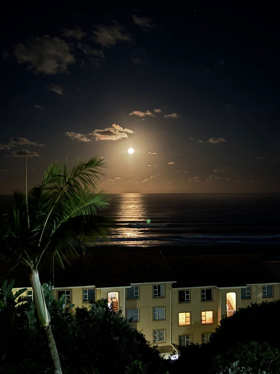elise tempelhoff (@elisetempelhoff) on Twitter photo Good evening, #Illovo, KZN, #SouthAfrica. Sleep well, all in this part of the world. 📸AmandaDuPlessis Good evening, #Illovo, KZN, #SouthAfrica. Sleep well, all in this part of the world. 📸AmandaDuPlessis