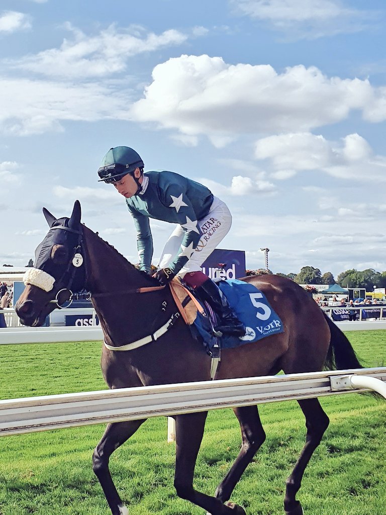 RacingBlade's tweet image. Zgharta &amp;amp; @oismurphy on way to the start @yorkracecourse #AndrewBalding
