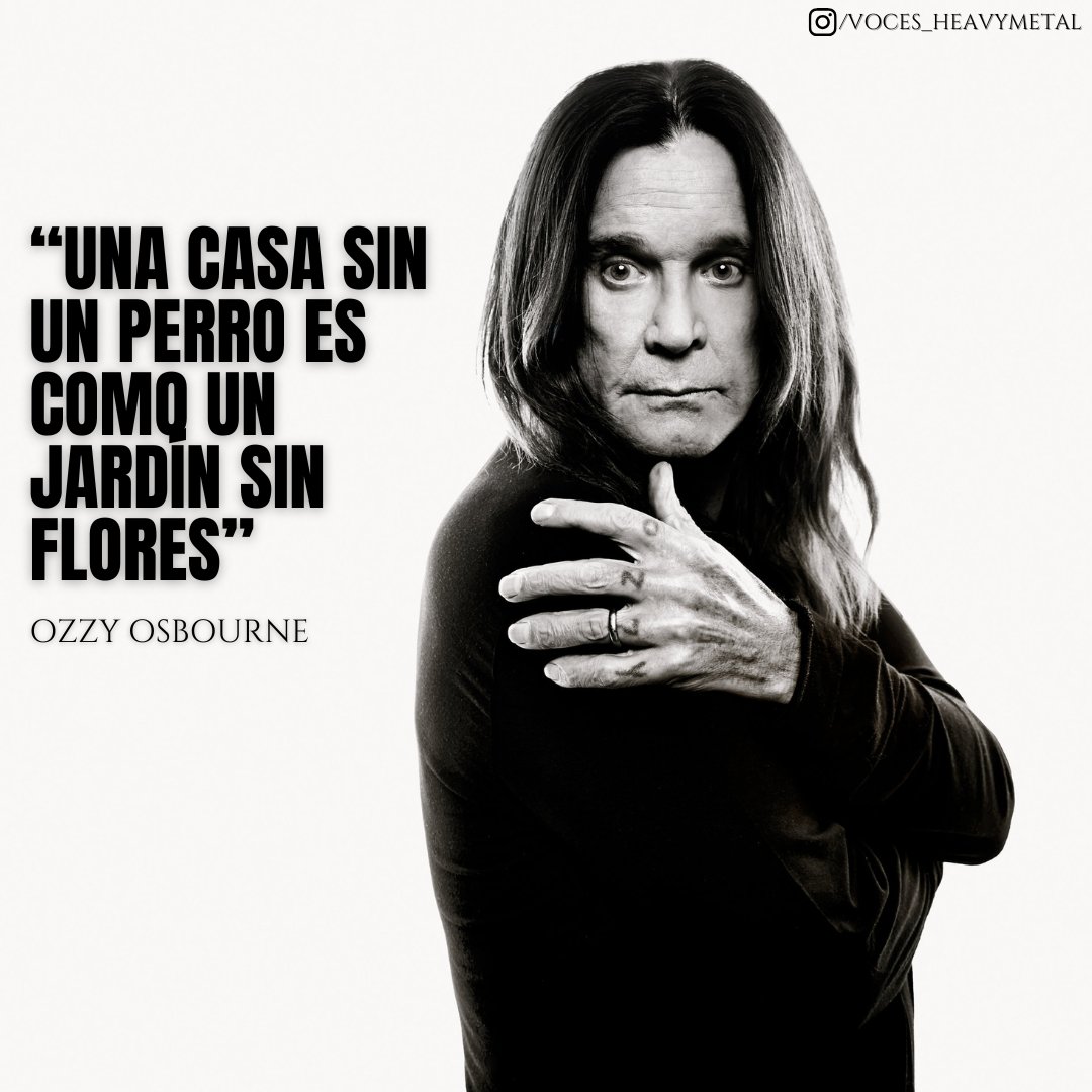 El Príncipe de las Tinieblas nos recuerda que la verdadera alegría y belleza en un hogar a menudo provienen de la compañía incondicional de nuestros amigos de cuatro patas. 🐶💖

#OzzyOsbourne #DogLover #Perros #AmorPerruno #Hogar #Rock #Mascotas 🏡