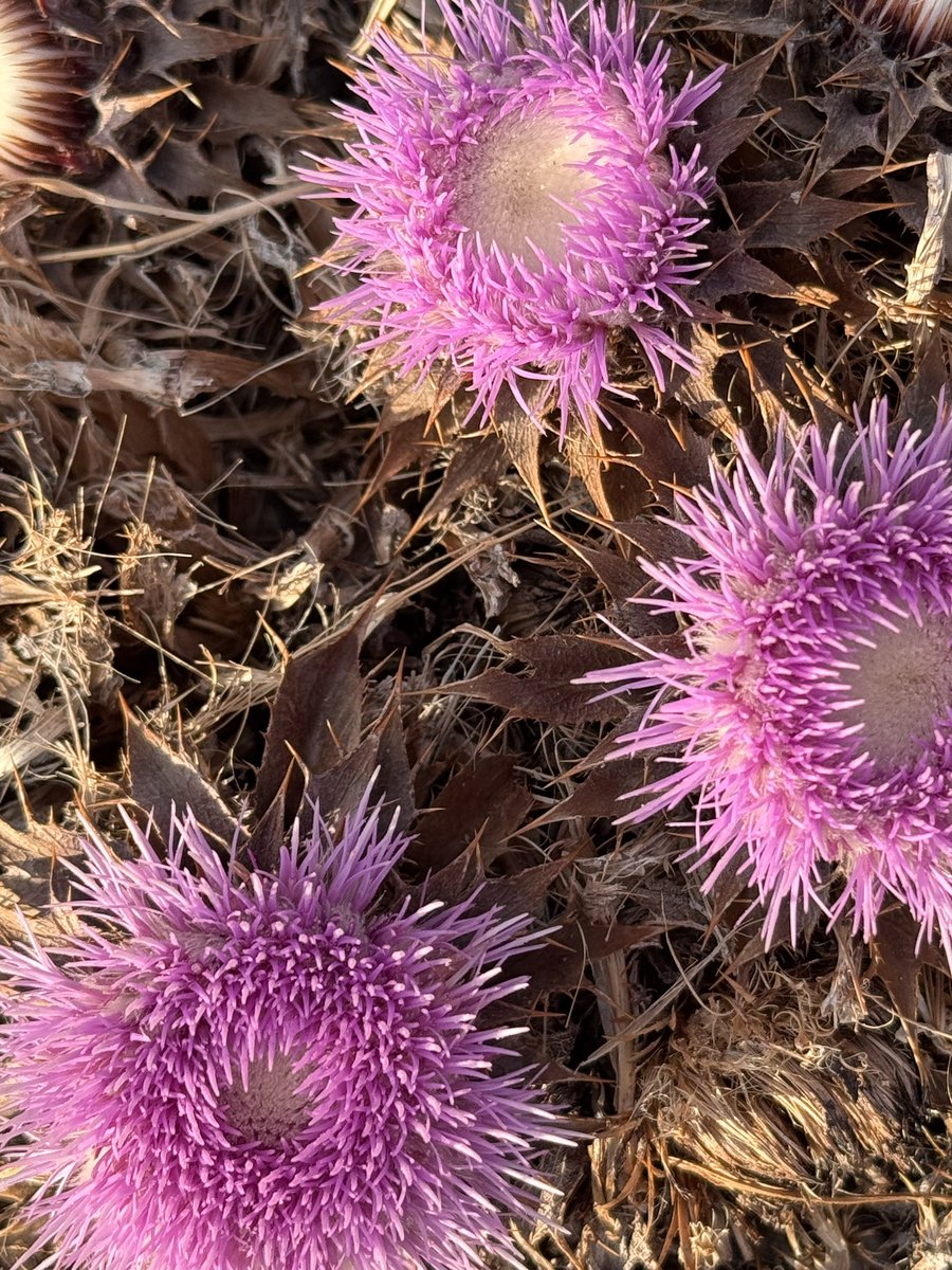 <a href="/tomww/">Thomas Wagner</a> EBike Tour ohne Schmetterling … aber ähnliches Spektrum😊