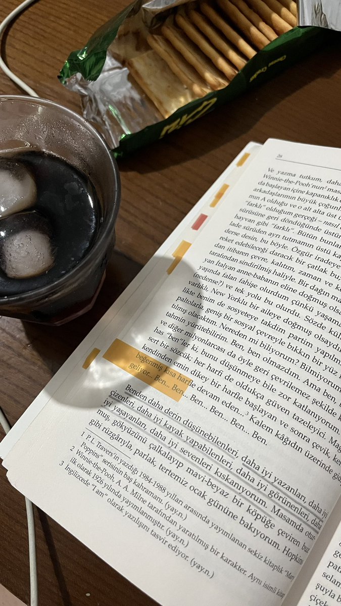 sylvia plath okumaya calismak yuregime tasimasi cok agir taslar koymus hissi veriyo