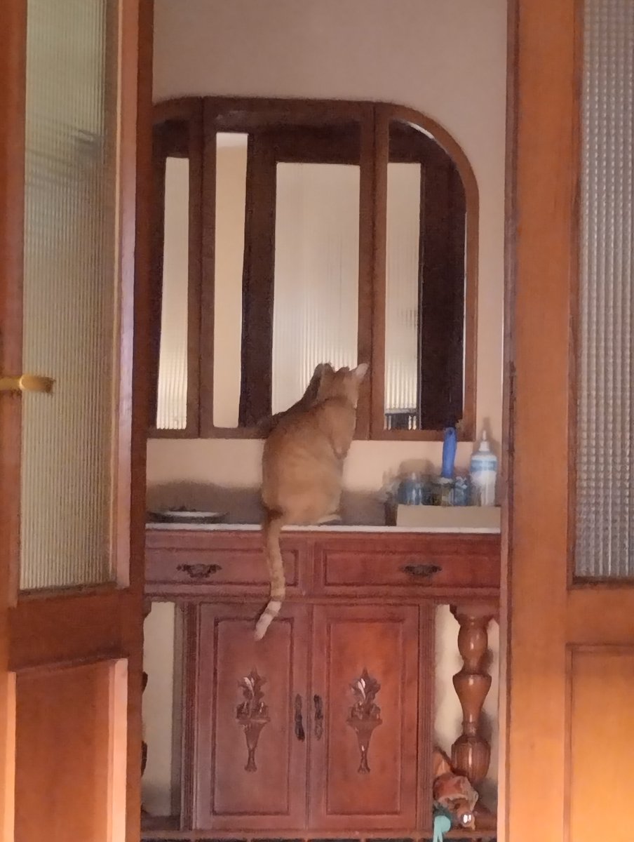 A Risou🌱 tweet media