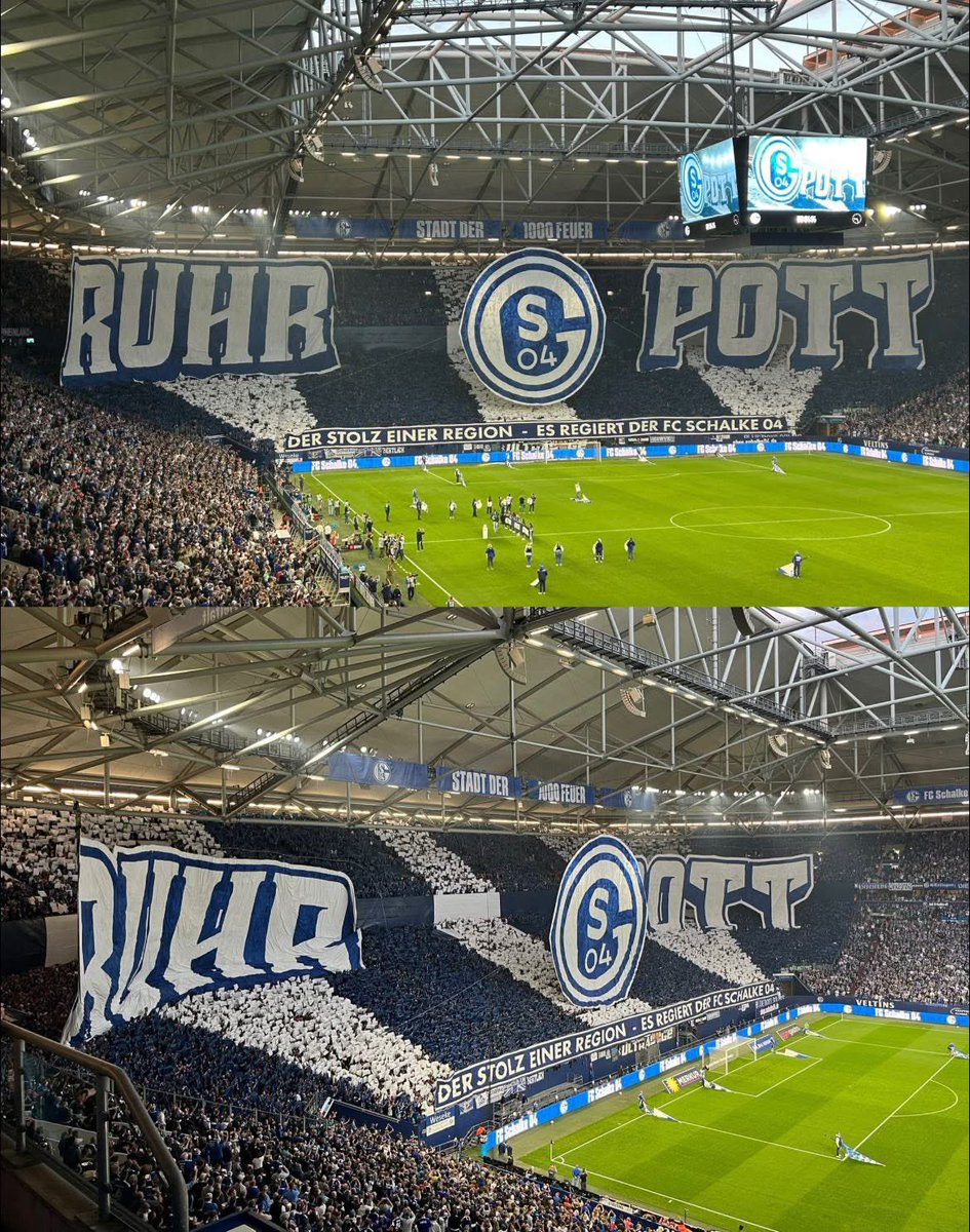 Amazing tifo by Schalke fans 🎨👨‍🎨

#S04BOC #S04