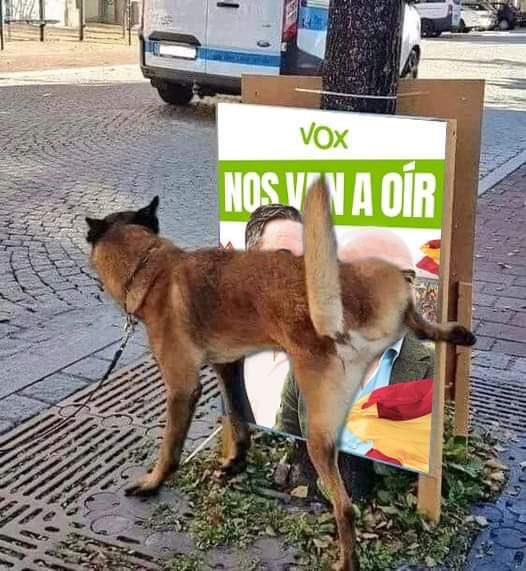 El ExChiringuito de Cantó tweet media