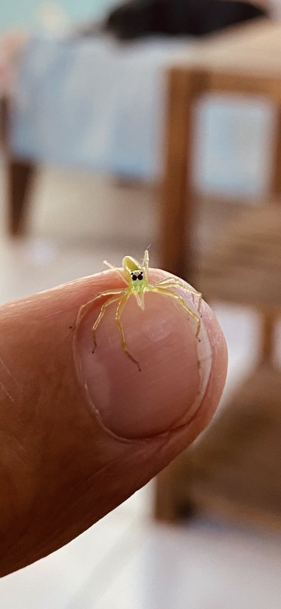 Ron Gomes 🎗️ (@macmokum) on Twitter photo 