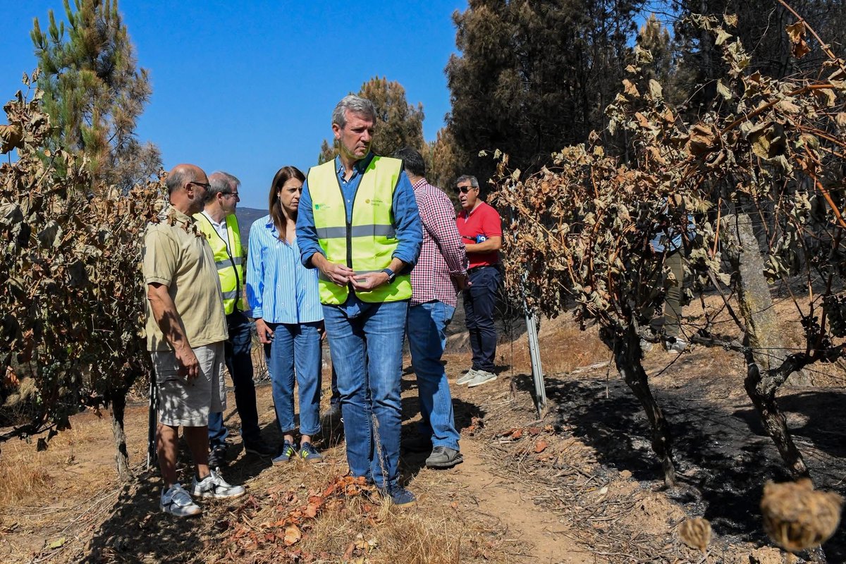 Dende Airiños todo o noso apoio aos afectados polos lumes en xeral e en particular aos amigos e socios da nosa entidade, Adegas Tapias Mariñán afectados os seus viñedos polos lumes, desexamos unha pronta recuperación a todos. Forza.
<a href="/GaliciaAberta/">GaliciaAberta</a>
<a href="/TapiasMarinhan/">BodegaTapias Mariñan</a>
