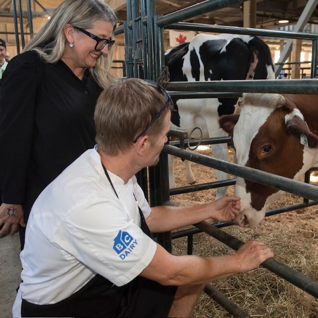 What a day <a href="/PNE_Playland/">PNE Fair / Playland</a> 🎉
Thanks to the Honourable Lana Popham, Minister of Agriculture and Food for joining Chef @NedBell to celebrate all things local dairy. 

Together they cooked French toast, toured the barns, met the cows, and shared stories of BC’s farm families. 💙