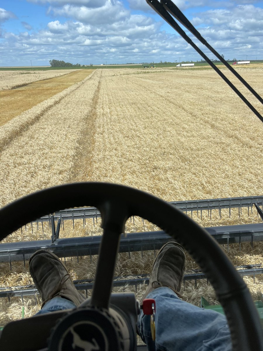 3-4 red beers would prolly fix me right up