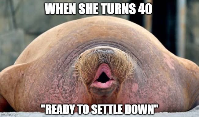 doctrinalux's tweet image. 🫧