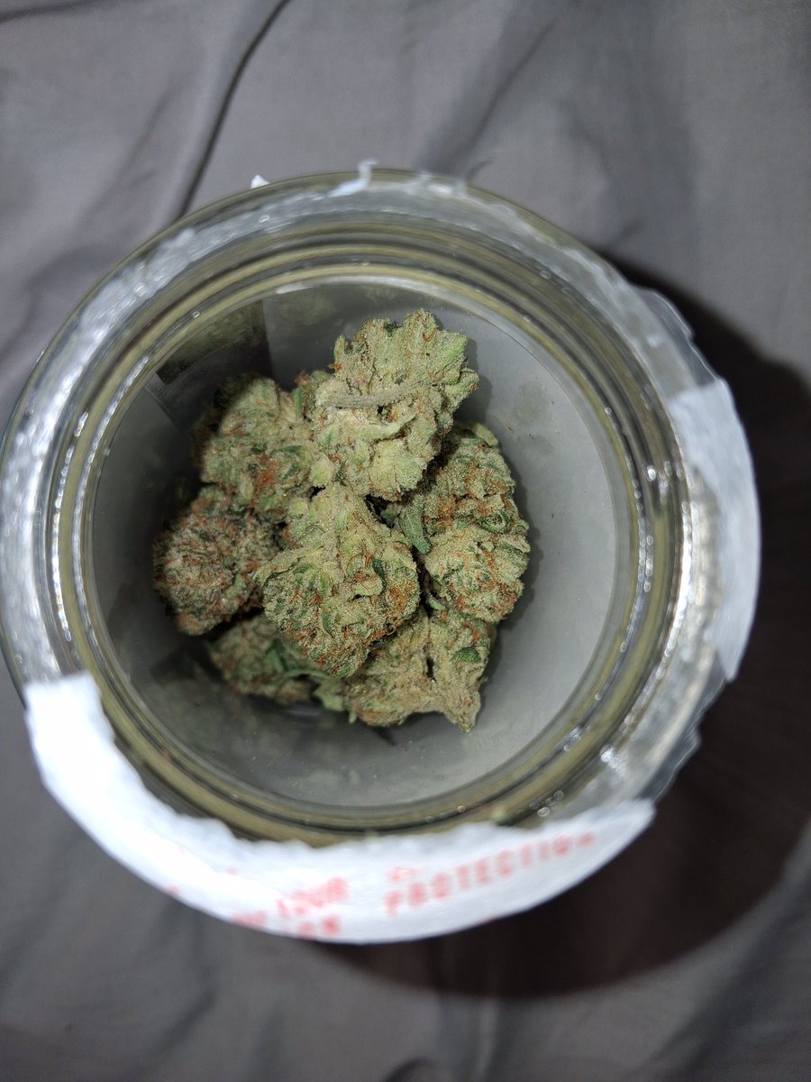 TeRIFIER44 tweet media