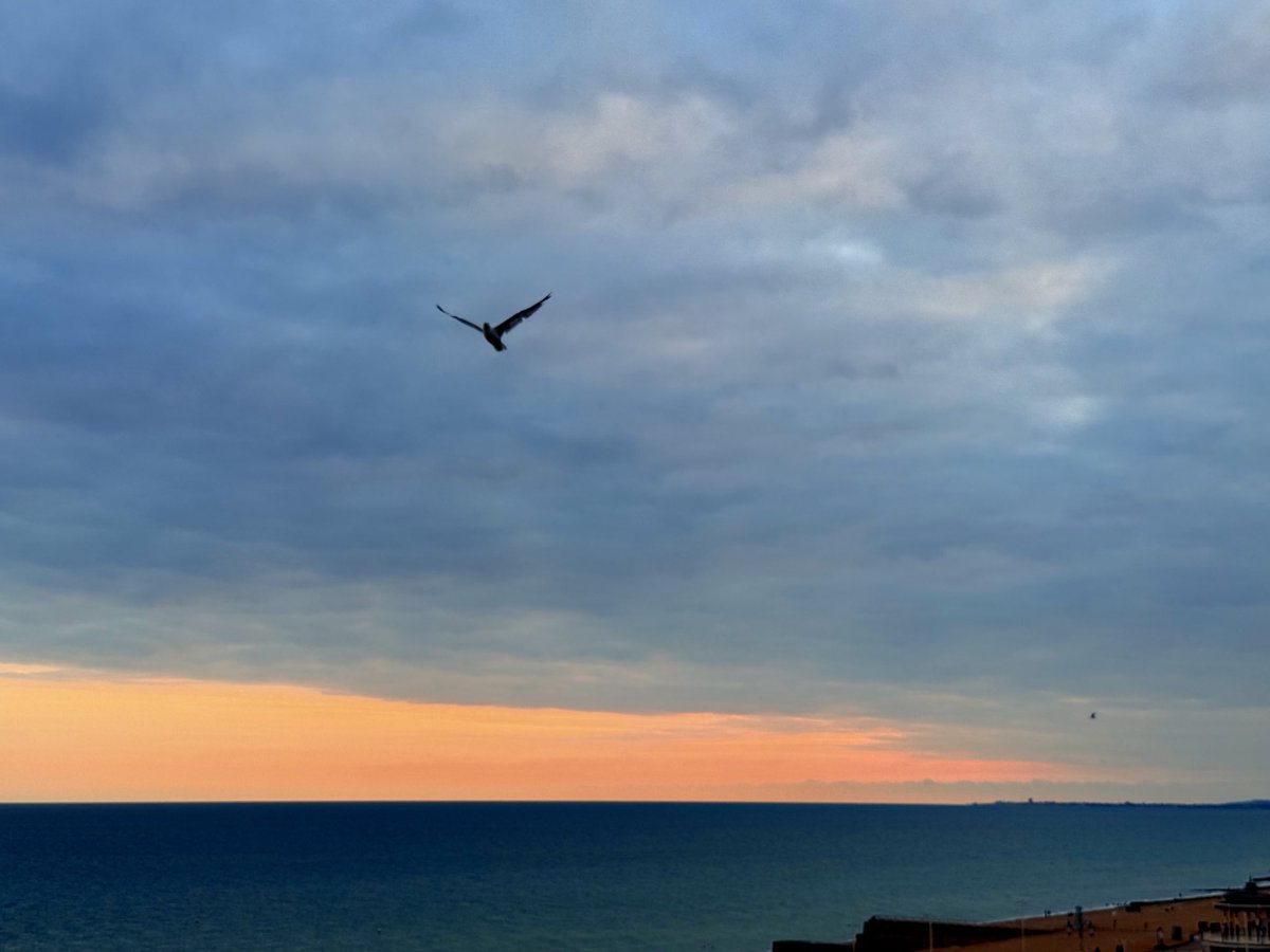 End of a great day in #Brighton. #UsualSeagull is full.