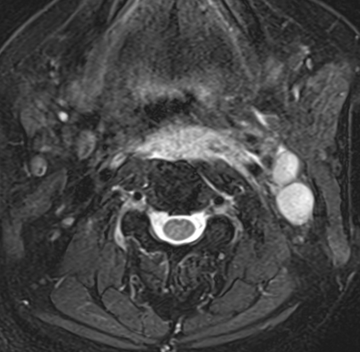 Daniel Gewolb, MD tweet media