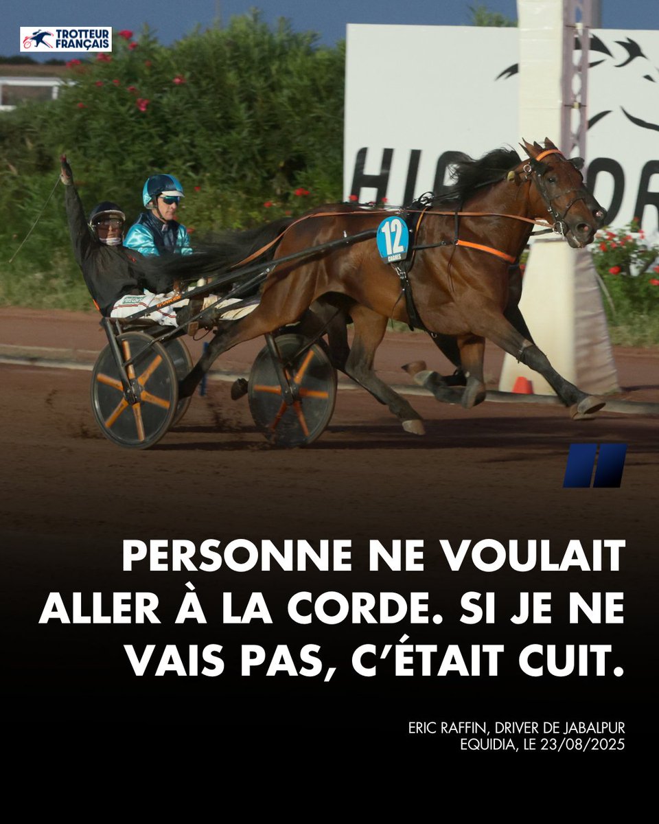 Trotteur Français tweet media