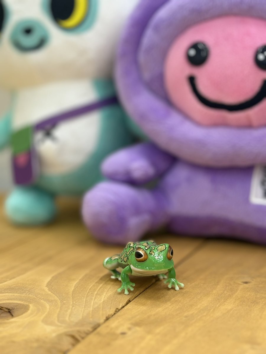 runrin0906's tweet image. 8月24日(日)
午前10:00〜13:00
89.1MHzハックワン！
あいラジ、ホアロハサンデー
始まりまーす🐕🐈
今日も元気にもも・ポポ子・あんよしがおしゃべりしまーす😁 #コミュニティFM   #ラジオ #あいラジ   #上尾  #伊奈町  #埼玉県　#ホアロハサンデー