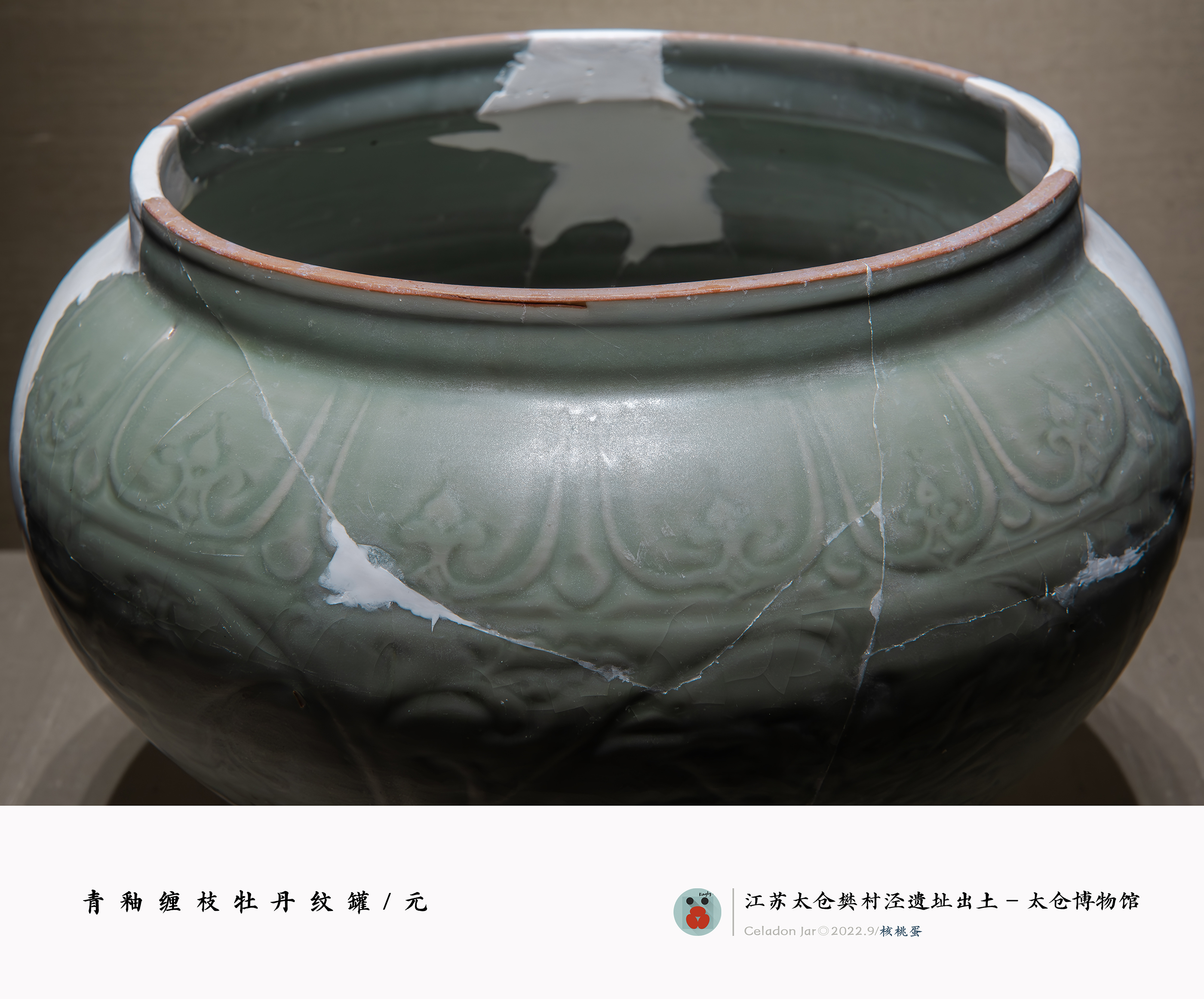 大元.倉：太倉樊村元代遺址出土磁器精粹(中国語) 元代瓷器贸易集散地：太仓樊村泾遗址- 浙江林炎古陶瓷博物馆