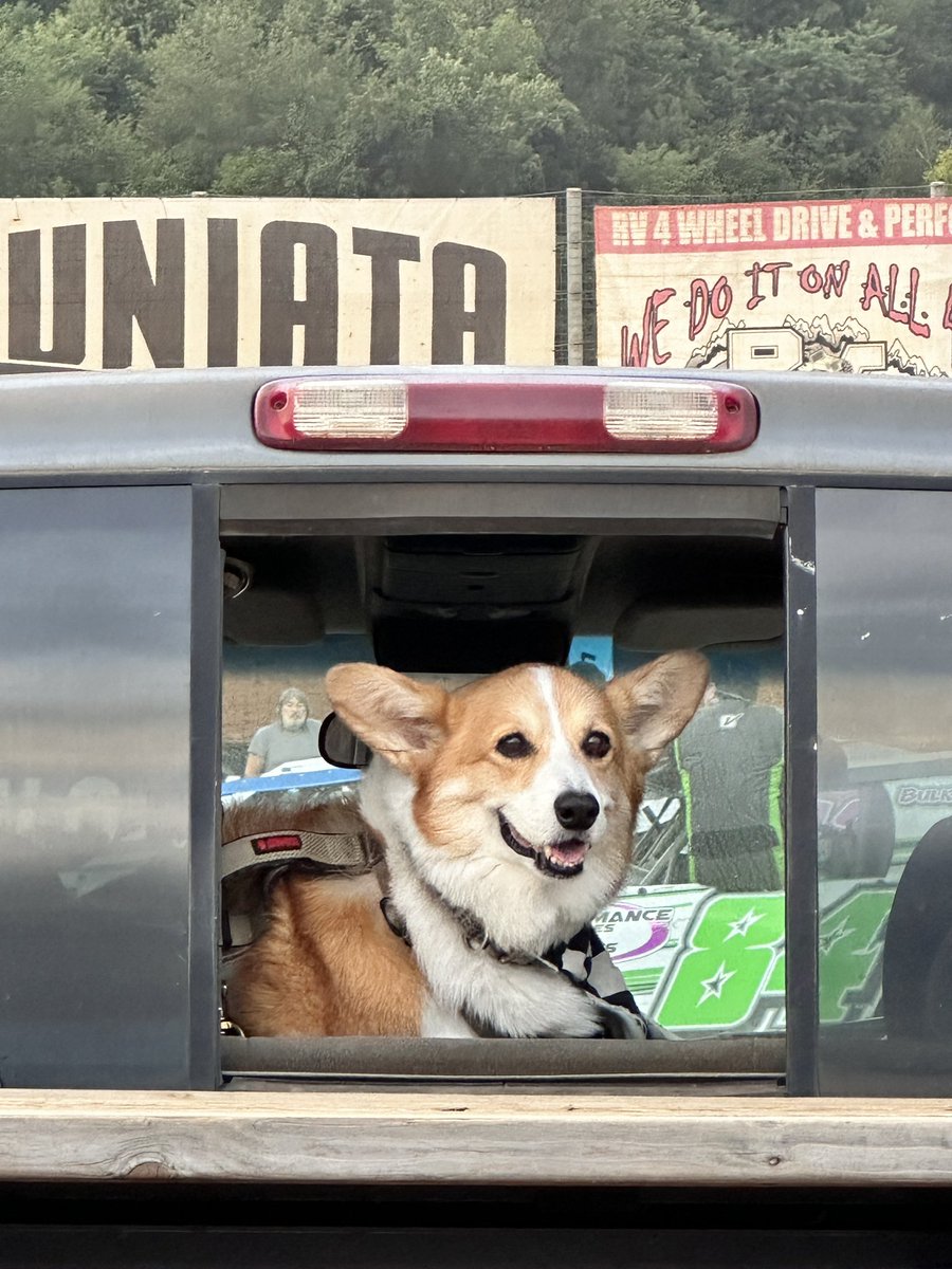PushCorgi's tweet image. Back at @PortRoyalSpdway for @lucasdirt action 😃🐾🏁 #SpeedPalace