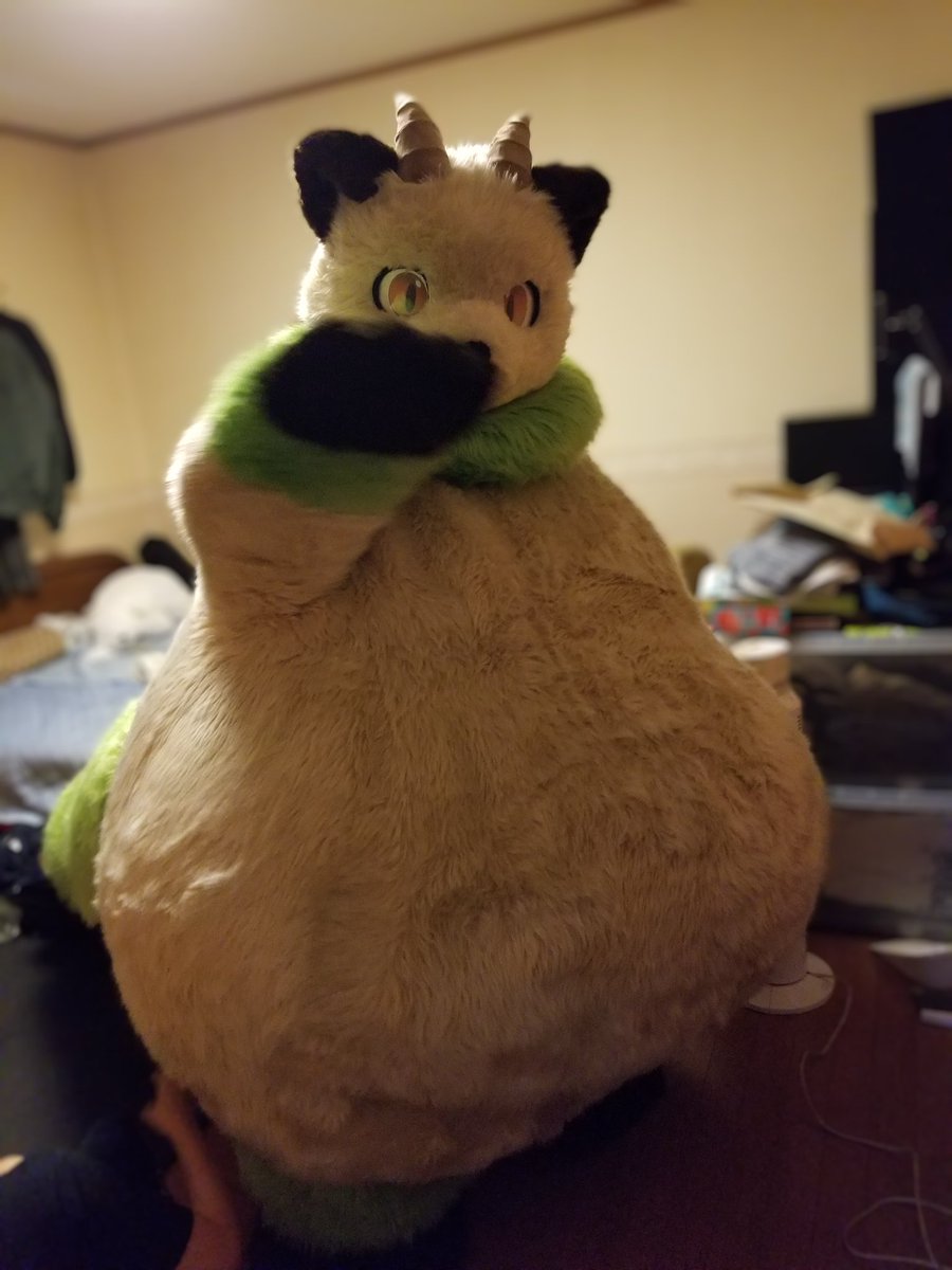 こっちおいで〜✨
モフモフしよっ！