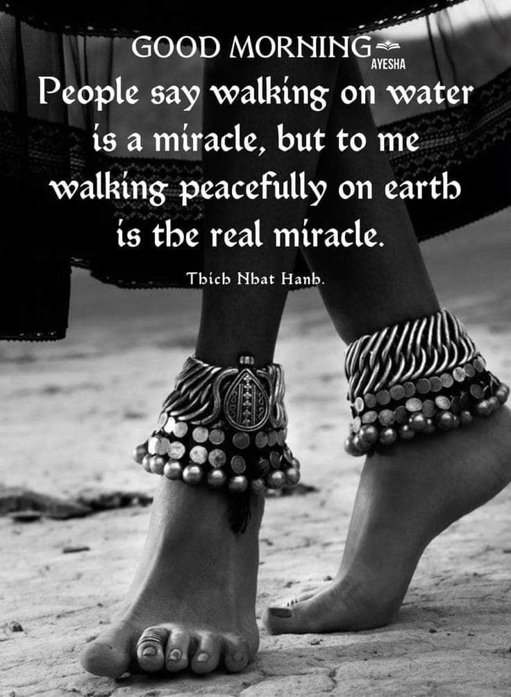 Suprabhatam to everyone 🌄🌞🌅