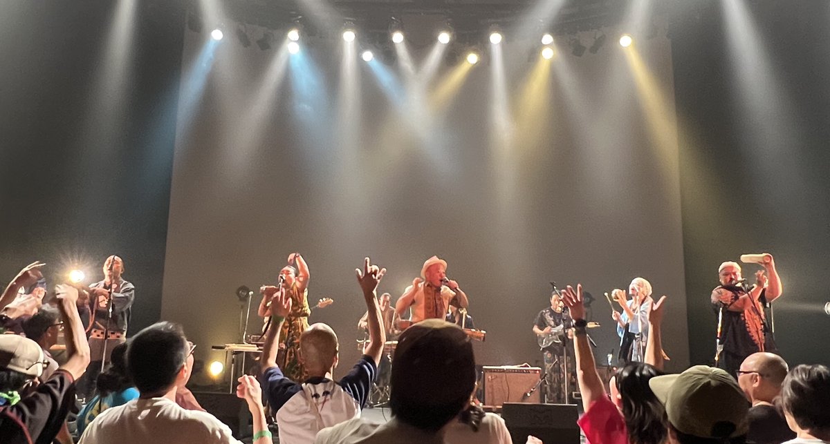 ライス・レコード/サンビーニャ・インポート【オフィス・サンビーニャ】 tweet media