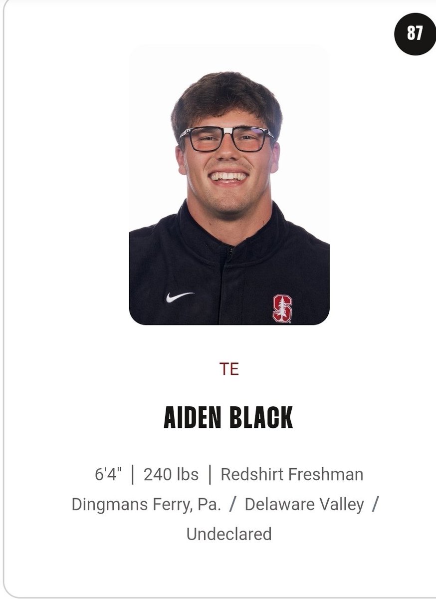PNW1122's tweet image. I cannot be the first person to notice this about @StanfordFball Tight Ends??!!! What the??? #NerdNation for sure
