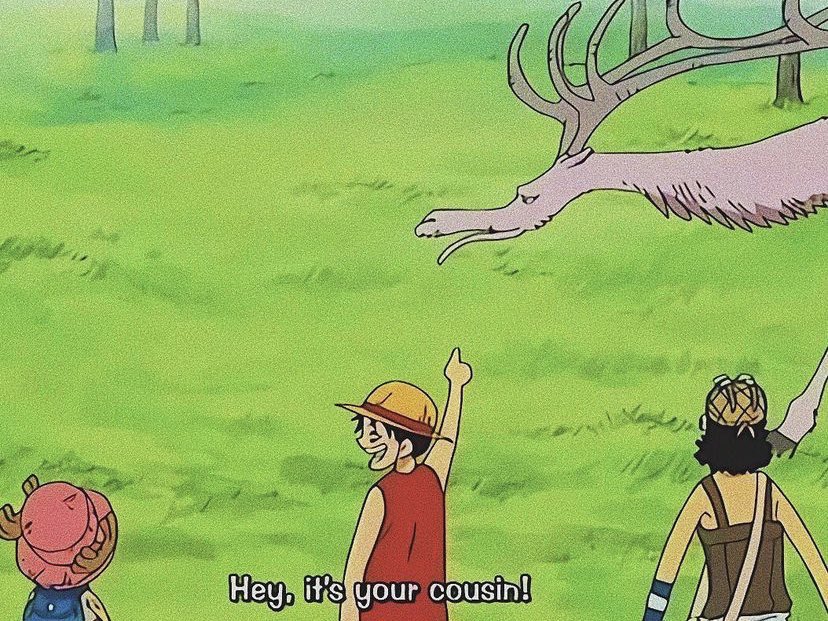 One Piece (@onepiecedaiiys) on Twitter photo 