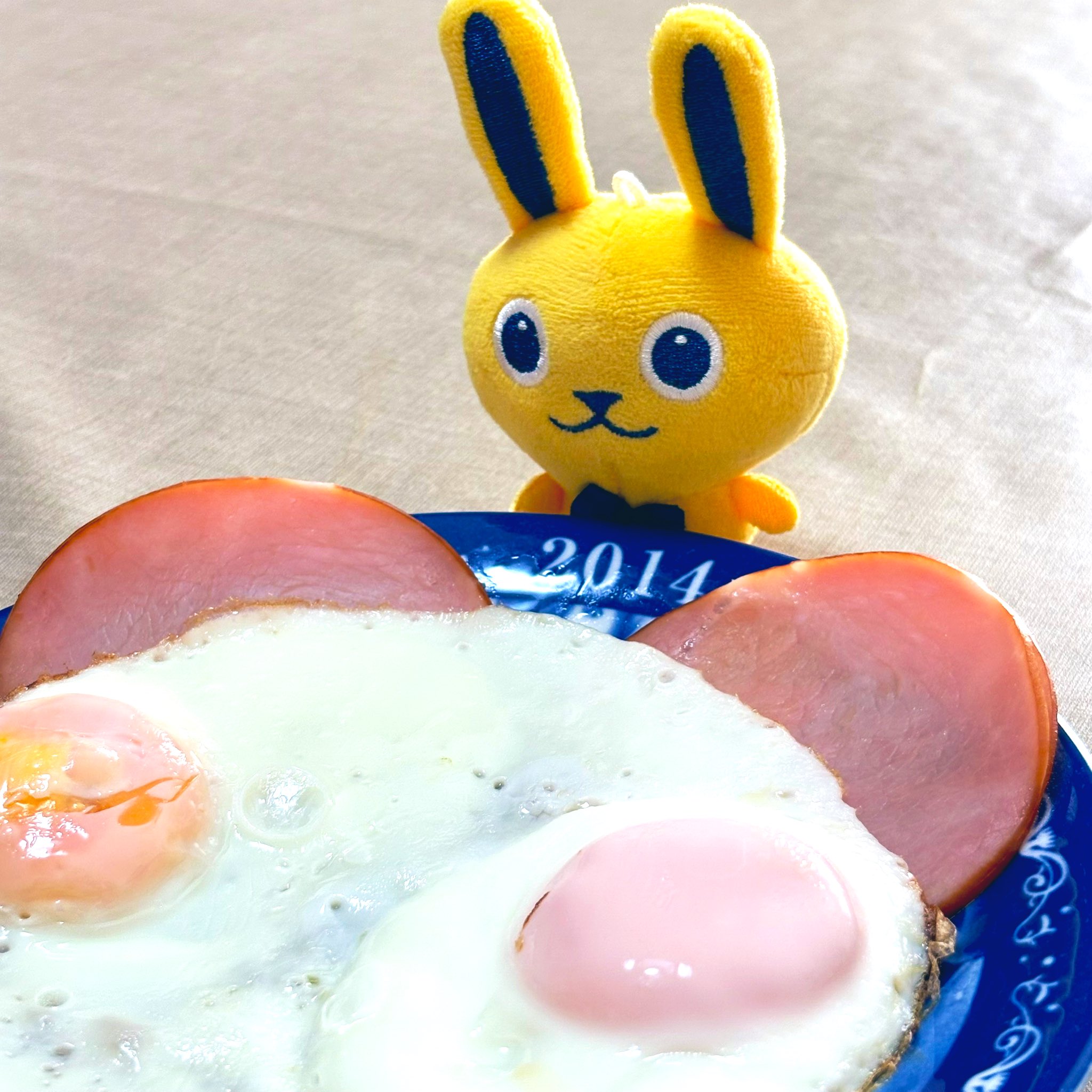 MR 目玉焼き DX レンジ 目玉焼きメーカー レンジ調理 日本製 卵 玉子 タマゴ
