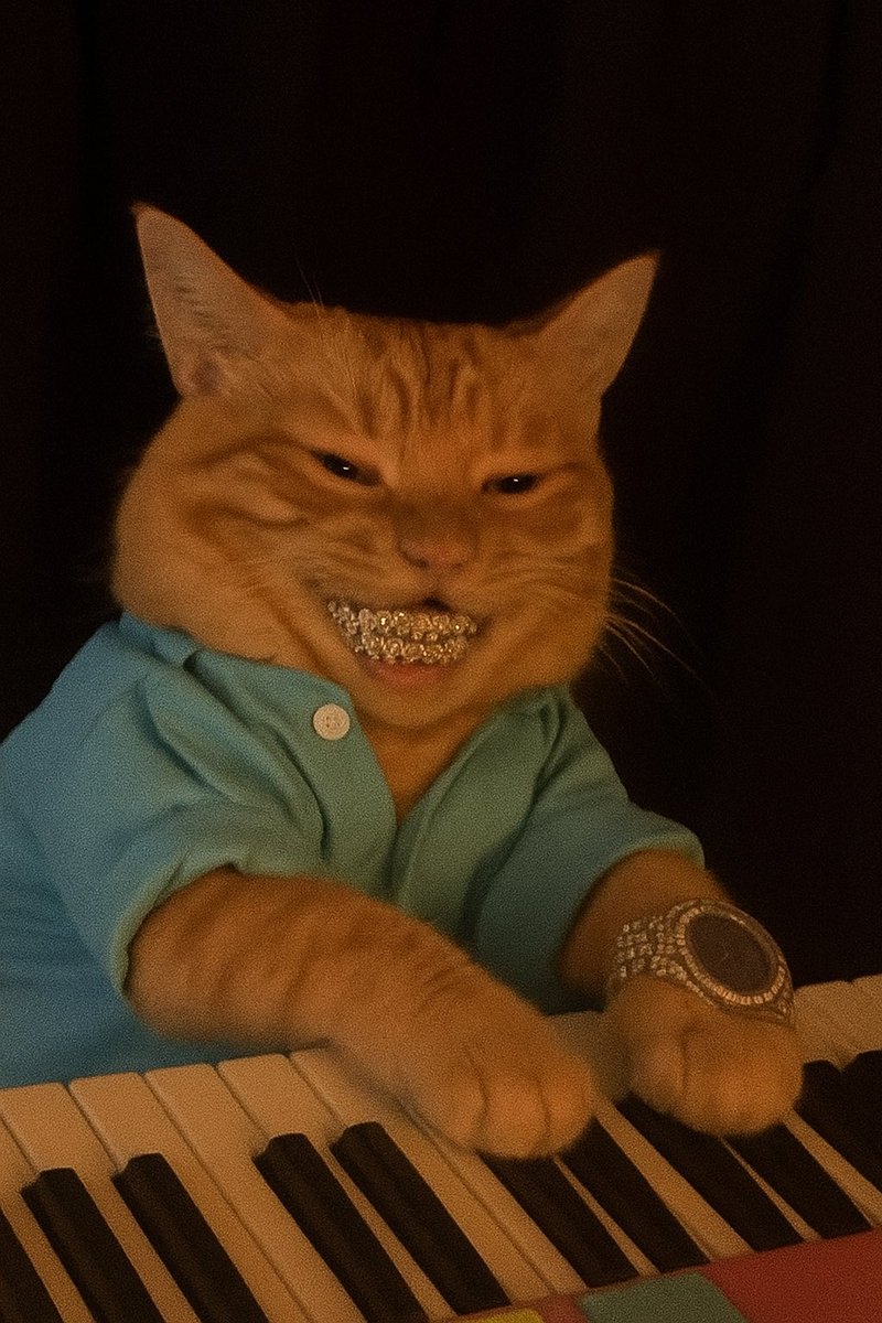 wont tell anyone when we make it

but there will be signs…

$KEYCAT