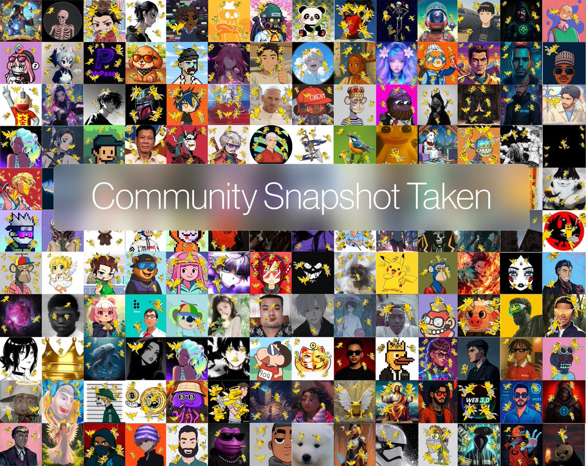 Mr. Bash 🥷 (@bashorunedward) on Twitter photo Community Snapshot 
📸 taken on
<a href="/theblessnetwork/">Bless</a> 
If you have been:
1. A node runner for Bless,
2. A content creator for Bless.
3. A Discord role Holders on Bless discord,
4. A y@pper for bless,
5. A sh!tposter,
6. A meme creator for Bless,
7. A graphic design for Bless, Community Snapshot 
📸 taken on
<a href="/theblessnetwork/">Bless</a> 
If you have been:
1. A node runner for Bless,
2. A content creator for Bless.
3. A Discord role Holders on Bless discord,
4. A y@pper for bless,
5. A sh!tposter,
6. A meme creator for Bless,
7. A graphic design for Bless,