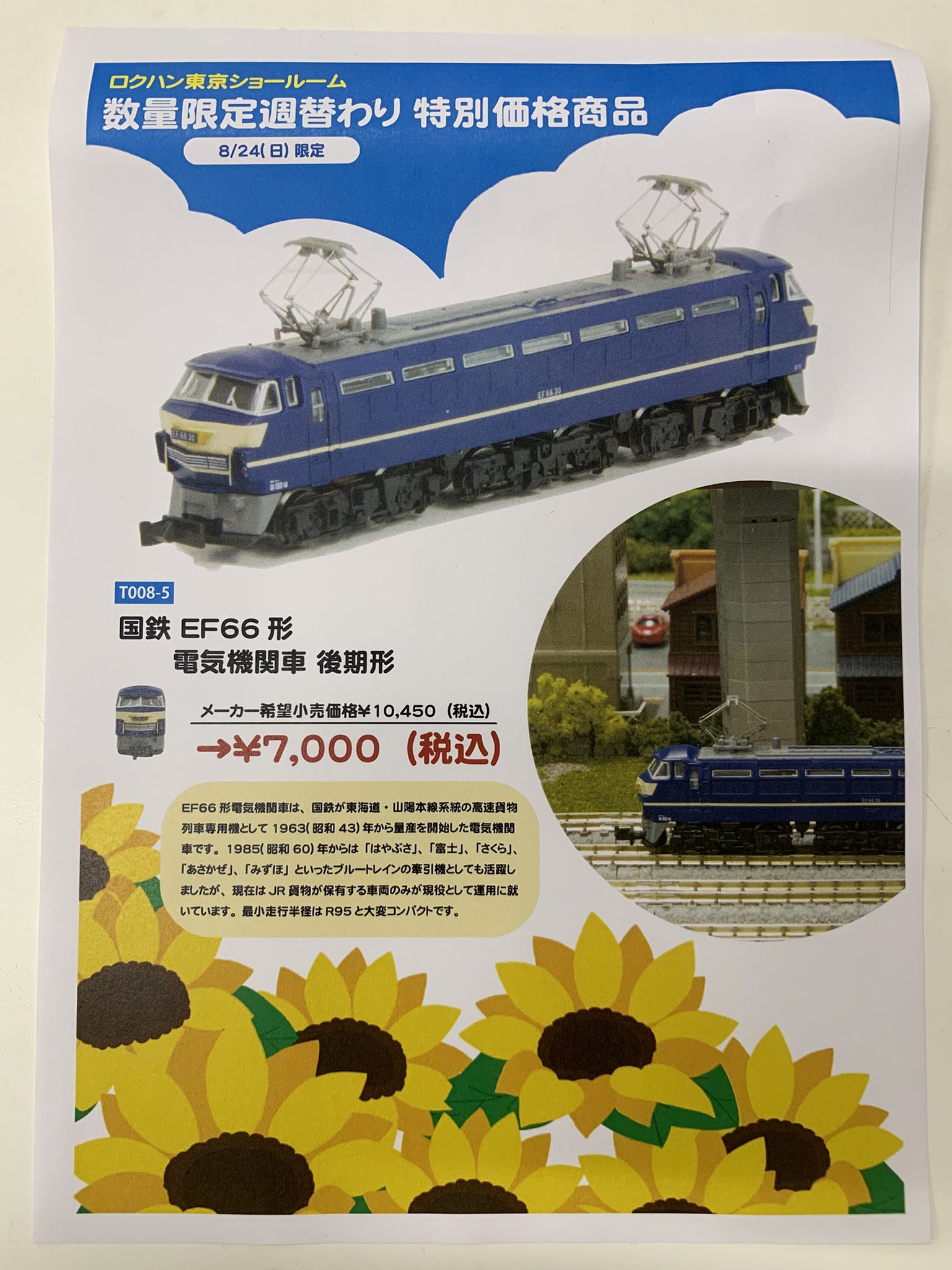(未使用･未開封品)　ロクハン Zゲージ T008-5 EF66形電気機関車 後期型国鉄色 ヒサシ付 vf3p617 T008-5 国鉄 EF66形電気機関車 後期形 (JNR EF66 Later Version