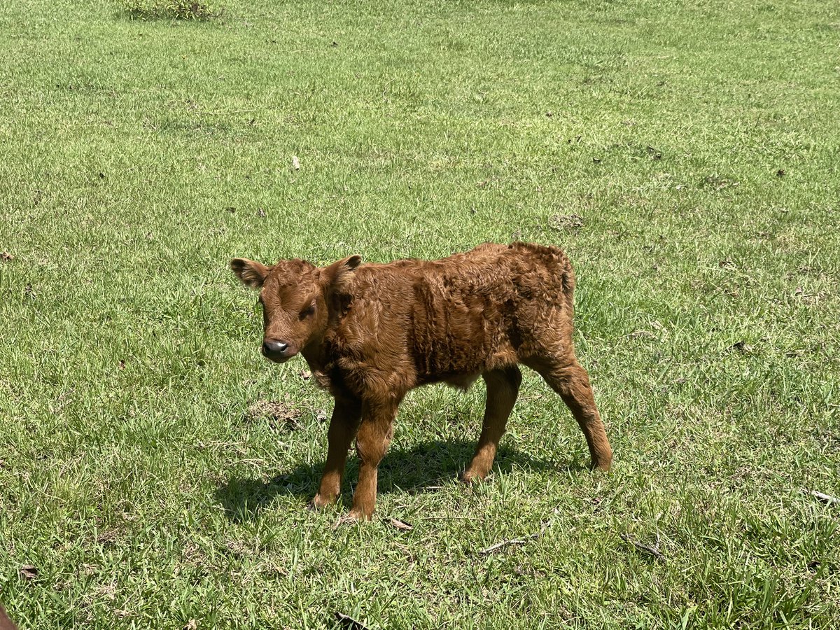 Lynsey Thrower tweet media