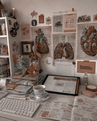 postpunkdriver's tweet image. My desk looks like this so that hers can look like this