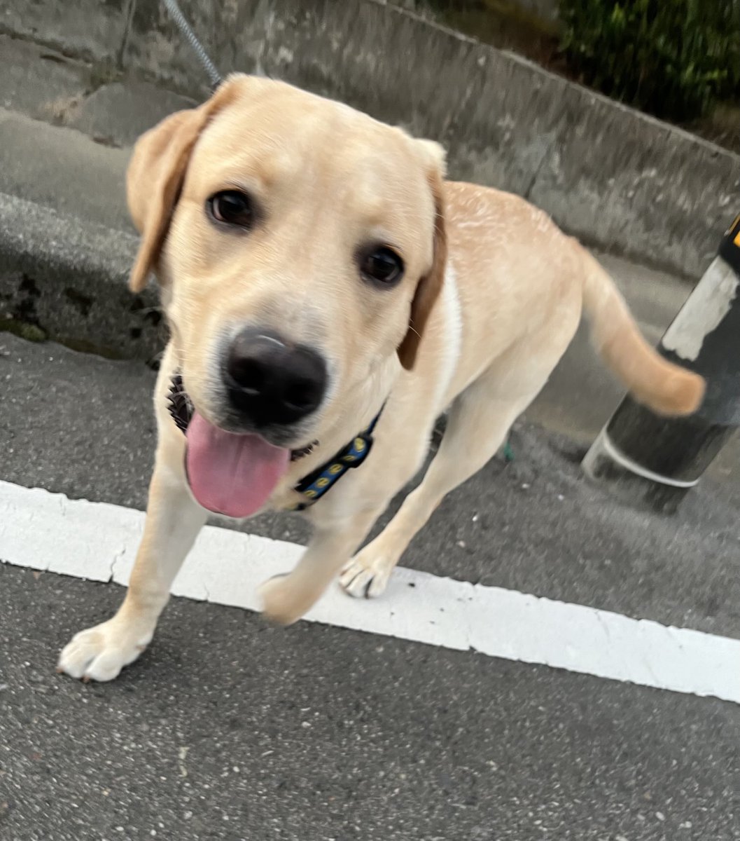 皆様　おはようございます♪
よくよく考えたら　初めて皆で一緒の朝ん歩だわ😆

今日も一日楽しく過ごせますようように