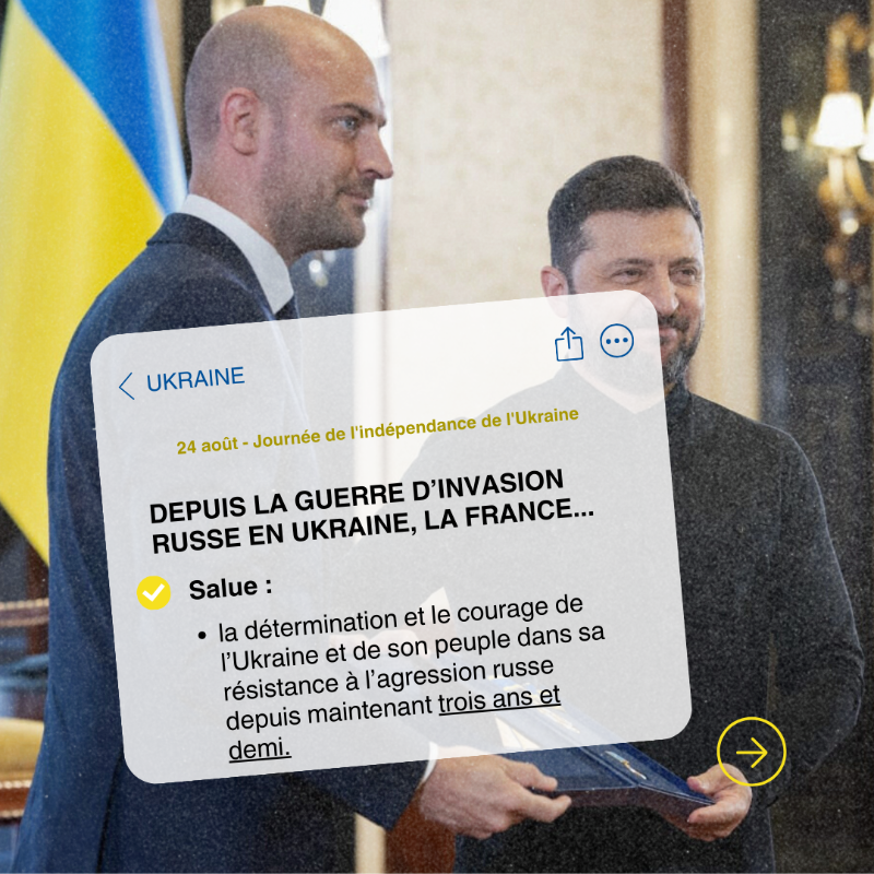 francediplo's tweet photo. 🇺🇦 24 août | À l’occasion de la Journée de l’indépendance de l’#Ukraine, retour sur 5 principes clés de l’action diplomatique 🇫🇷 👇

#StandWithUkraine
#StandForFreedom

@jnbarrot @benjaminhaddad @FranceenUkraine