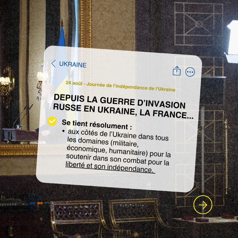 francediplo's tweet photo. 🇺🇦 24 août | À l’occasion de la Journée de l’indépendance de l’#Ukraine, retour sur 5 principes clés de l’action diplomatique 🇫🇷 👇

#StandWithUkraine
#StandForFreedom

@jnbarrot @benjaminhaddad @FranceenUkraine