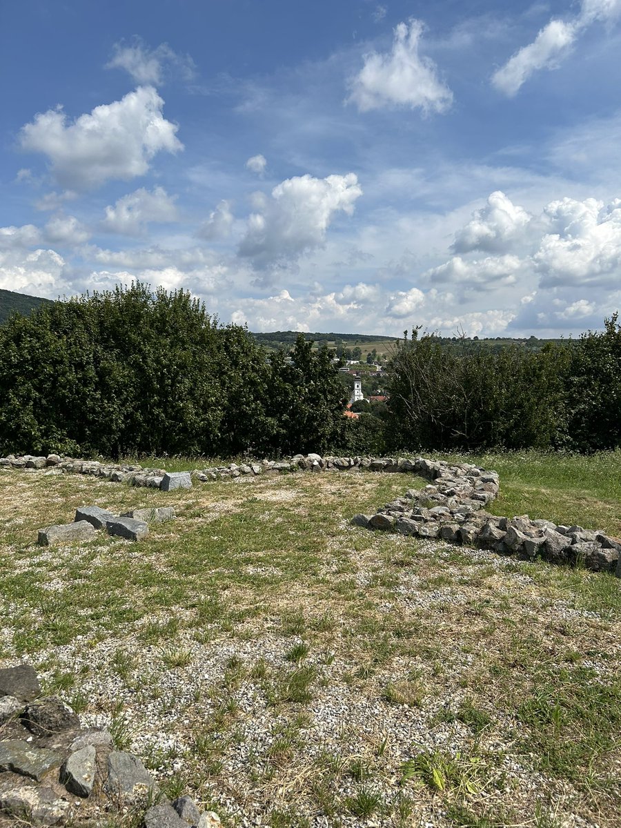 Luke Miller tweet media