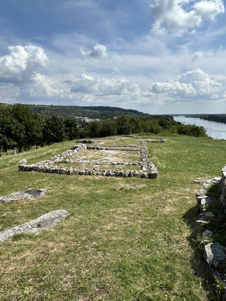 Luke Miller tweet media